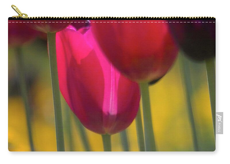 Tulip Zip Pouch featuring the photograph Red Tulips by Heiko Koehrer-Wagner