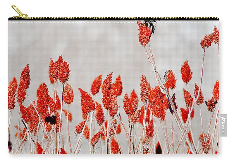 Dunns Marsh Carry-all Pouch featuring the photograph Red Winged Blackbird On Sumac by Steven Ralser