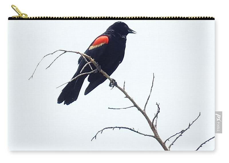 Red Winged Blackbird Zip Pouch featuring the photograph Red-Winged Blackbird by Paul Wilford