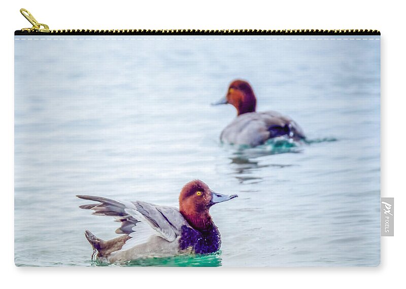 Redhead Zip Pouch featuring the photograph Redhead Ducks by LeeAnn McLaneGoetz McLaneGoetzStudioLLCcom