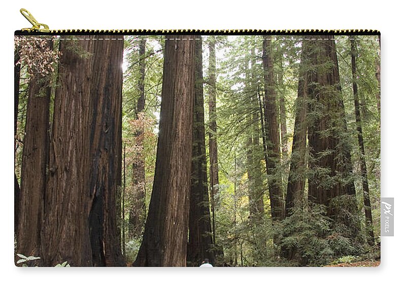 Muir Woods Zip Pouch featuring the photograph Redwood Trees by Sue Leonard