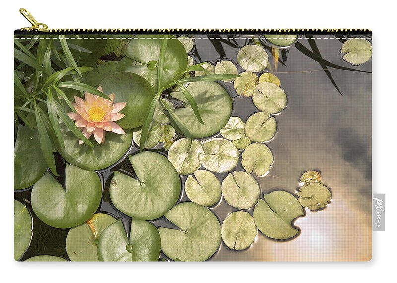 Water Lilies Zip Pouch featuring the photograph Reflected Light upon Flowering Water Lilies by Jason Politte