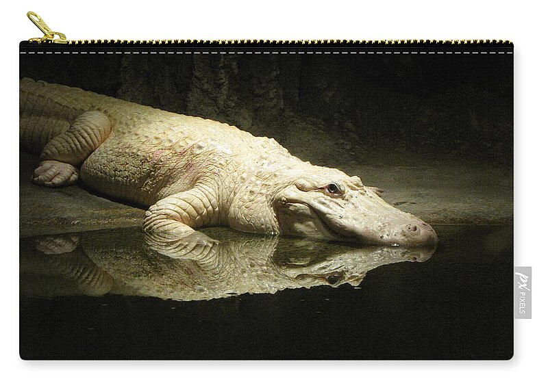 Alligator Zip Pouch featuring the photograph Reflection by Beth Vincent