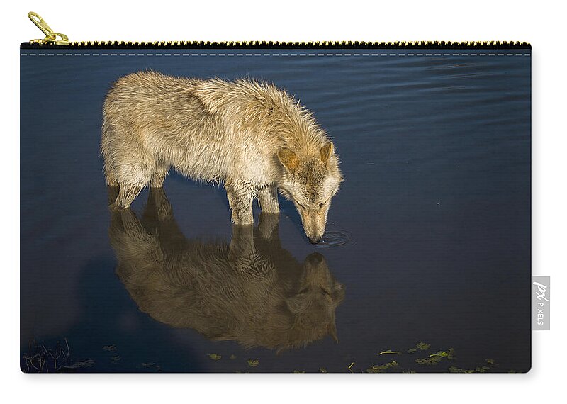 Animal Zip Pouch featuring the photograph Reflection by Jack R Perry