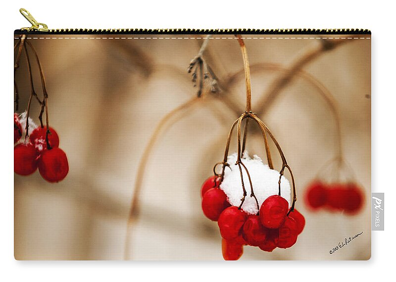 Winter Scene Zip Pouch featuring the photograph Refrigeration by Ed Peterson