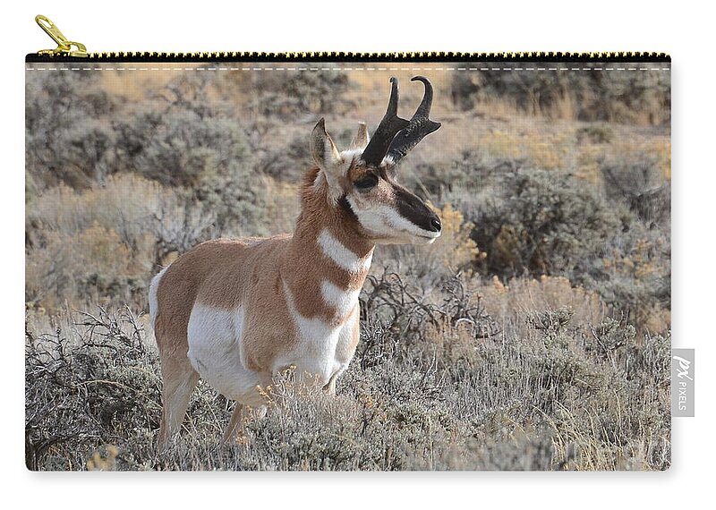 Antelope Carry-all Pouch featuring the photograph Regal Patriarch by Dorrene BrownButterfield