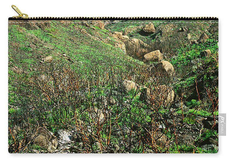 Adaptation Zip Pouch featuring the photograph Regrowth After Fire by Richard Hansen