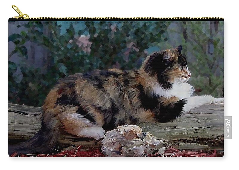 Cat Zip Pouch featuring the photograph Resting Calico Cat by Lesa Fine