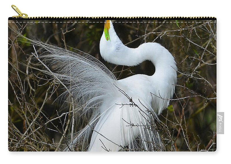Great Egret Zip Pouch featuring the photograph Rituals Of Courtship by Kathy Baccari