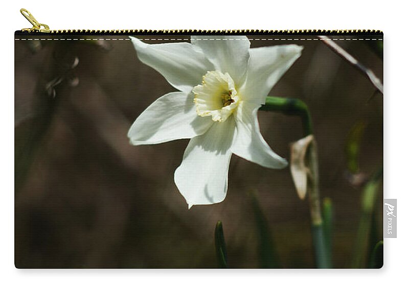 White Narcissus Zip Pouch featuring the photograph Roadside White Narcissus by Rebecca Sherman