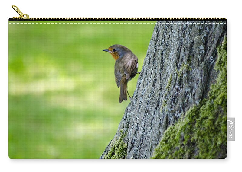 Garden Carry-all Pouch featuring the photograph Robin At Rest by Spikey Mouse Photography