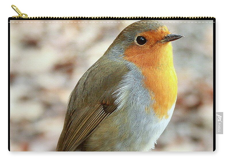 Linsey Williams Prints Zip Pouch featuring the photograph Robin by Linsey Williams