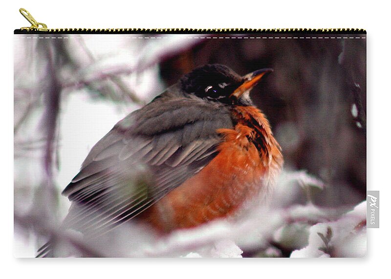 Bird Zip Pouch featuring the photograph Robins' Patience by Lesa Fine