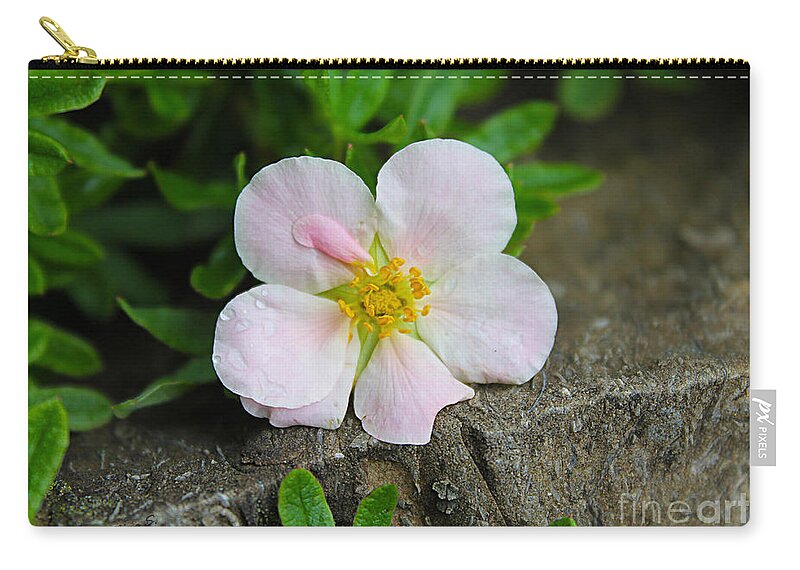 Floral Zip Pouch featuring the photograph Rock Garden Flower by Nina Silver