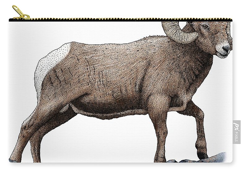 Rocky Mountain Bighorn Sheep Zip Pouch featuring the photograph Rocky Mountain Bighorn Sheep by Roger Hall