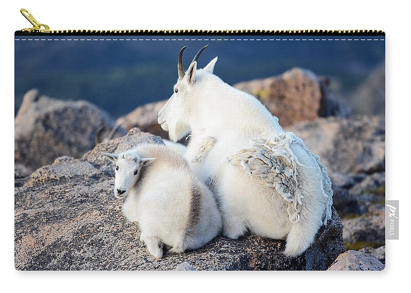 Wildlife Zip Pouch featuring the photograph Rocky Mountain Goat by OLena Art by Lena Owens - Vibrant DESIGN