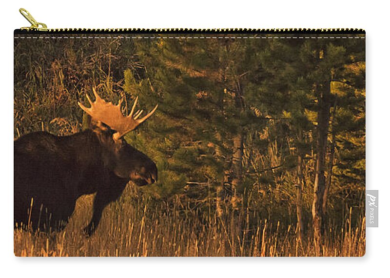 Rocky Mountain National Park Moose Zip Pouch featuring the photograph Rocky Mountain National Park Moose by Priscilla Burgers