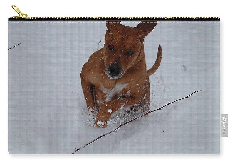 Dam Zip Pouch featuring the photograph Romp in the Snow by Mim White