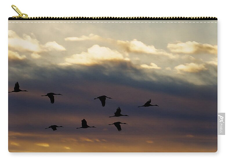 Animals Zip Pouch featuring the photograph Roosting Time by Jack R Perry