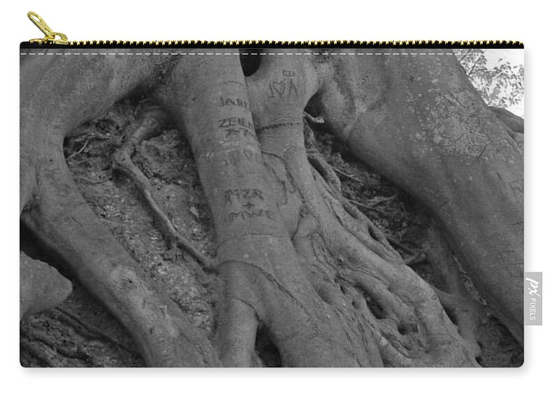 Tree Zip Pouch featuring the photograph Roots II by Suzanne Gaff