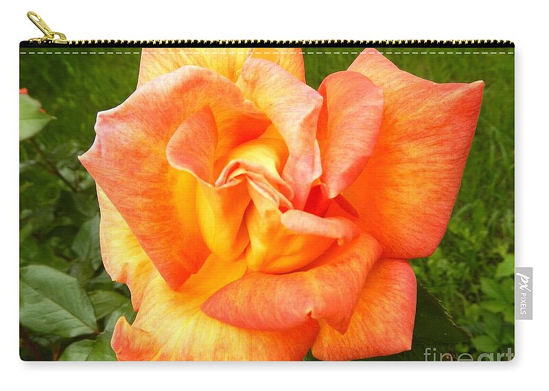 Floral Zip Pouch featuring the photograph Rose For You by Loreta Mickiene