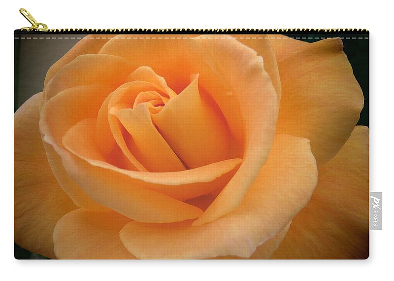 Rose Zip Pouch featuring the photograph Rose by Laurel Powell