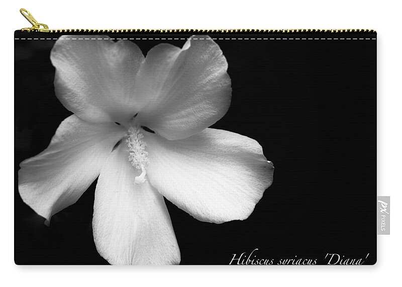 White Zip Pouch featuring the photograph Rose of Sharon Hibiscus BW by Tony Grider