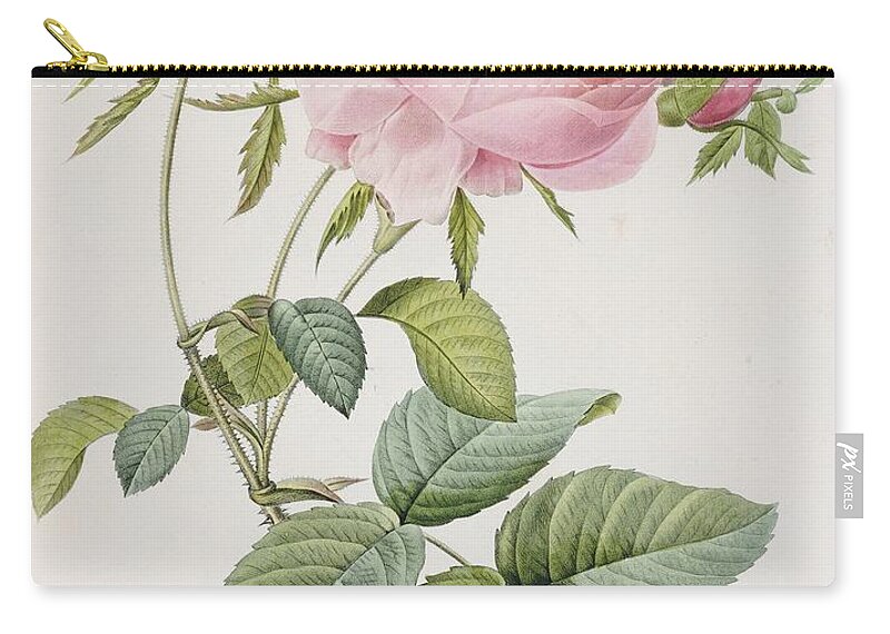 Flower Zip Pouch featuring the painting Rose by Pierre Joesph Redoute