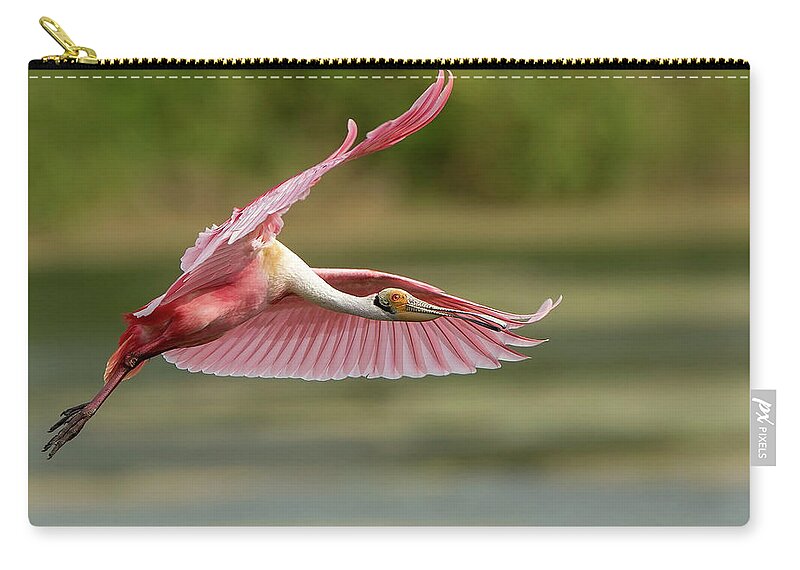 Animal Themes Zip Pouch featuring the photograph Roseate Spoonbill In Flight by D Williams Photography