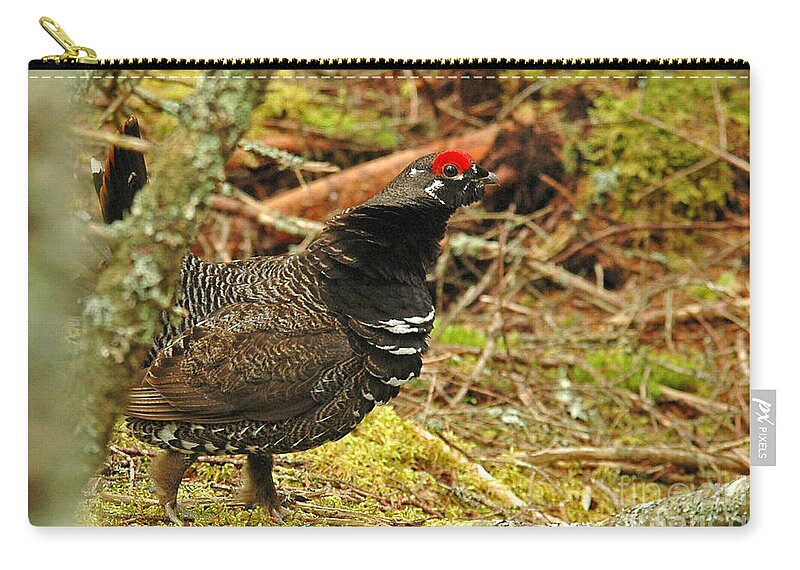 Rough Grouse Zip Pouch featuring the photograph Rough Grouse by Alana Ranney