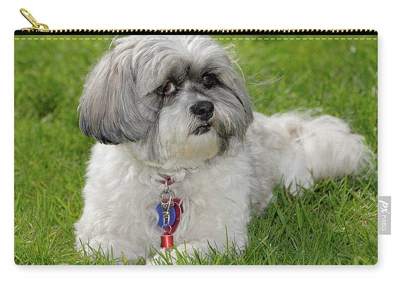 Pet Carry-all Pouch featuring the photograph Roxey Glamour by Arthur Fix