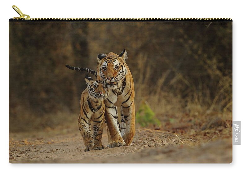 Care Zip Pouch featuring the photograph Royal Bengal Tiger With Cub by Shivang Mehta