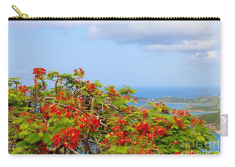 Turquoise Zip Pouch featuring the photograph Royal Poinciana View by Diane Macdonald