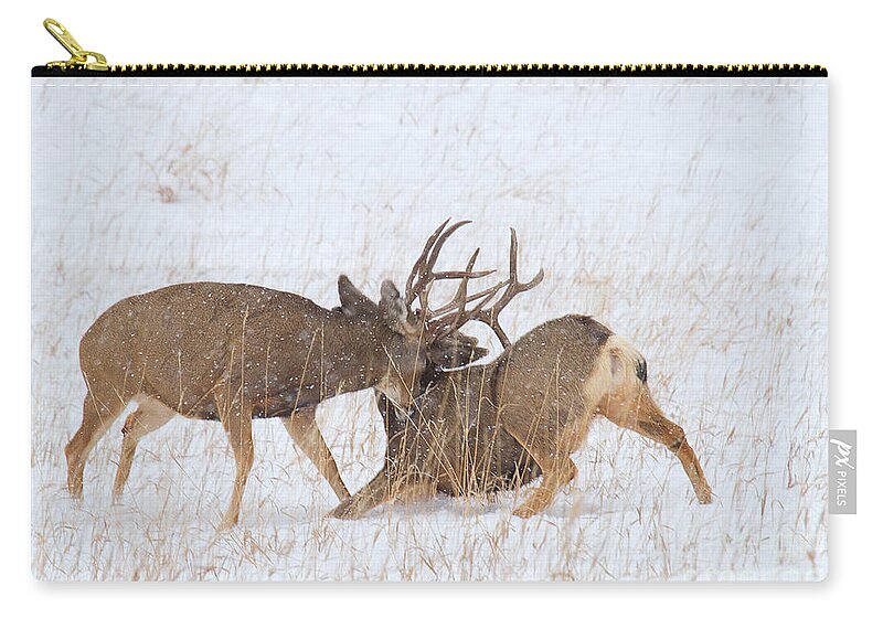 Mule Deer Buck Zip Pouch featuring the photograph Rubber Necking by Jim Garrison