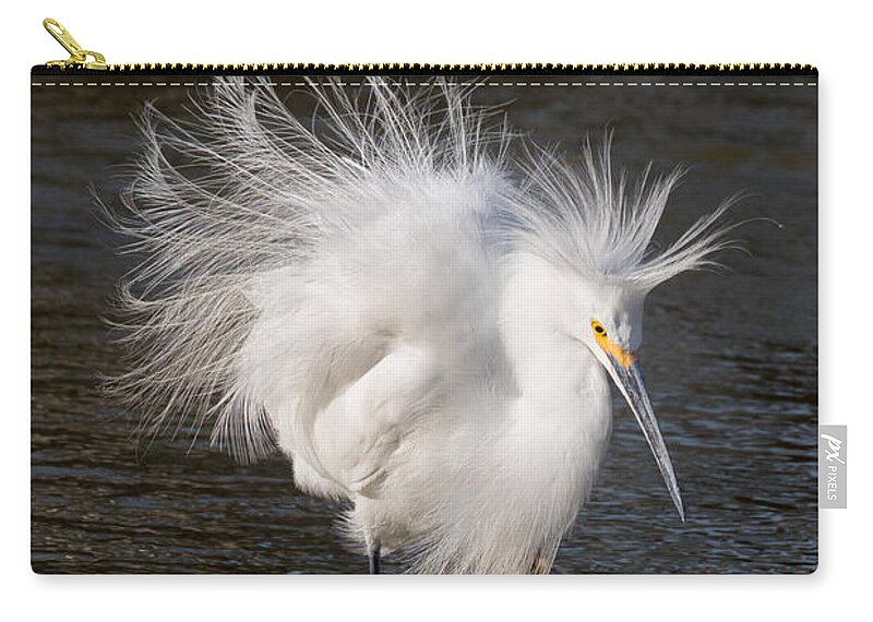 Snowy Egret Zip Pouch featuring the photograph Ruffled Feathers by Kathleen Bishop