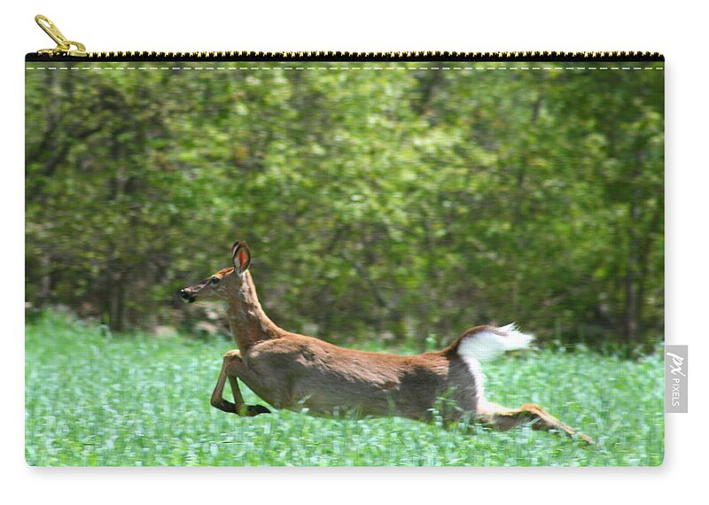 Deer Zip Pouch featuring the photograph Run Forest Run by Neal Eslinger