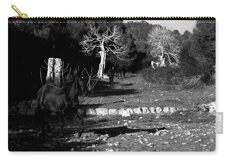 Agriculture Zip Pouch featuring the photograph Minorcan black horses - Running free black and white edition by Pedro Cardona Llambias