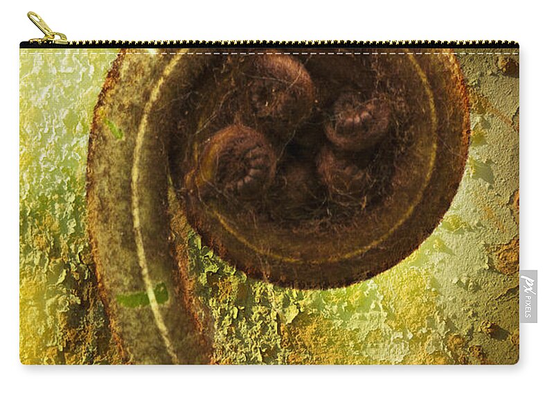 Plant Carry-all Pouch featuring the photograph Rust and Fern by Heiko Koehrer-Wagner