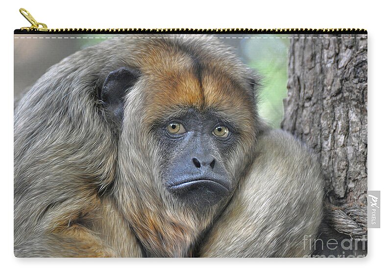 Howler Monkey Zip Pouch featuring the photograph Sad Monkey by Savannah Gibbs