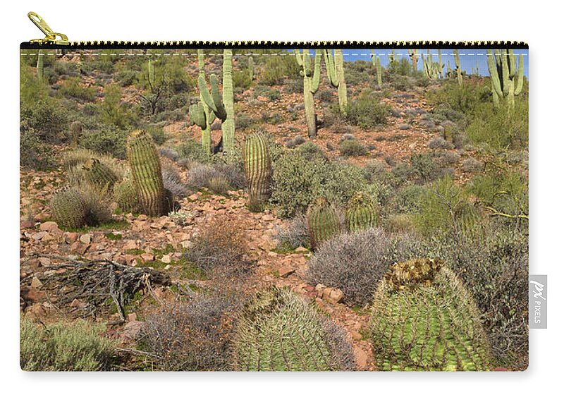 00559179 Carry-all Pouch featuring the photograph Saguaro And Barrel Cacti Tonto N M by Yva Momatiuk John Eastcott