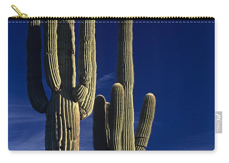 American Southwest Zip Pouch featuring the photograph Saguaro cactus sunset Arizona State USA by Jim Corwin