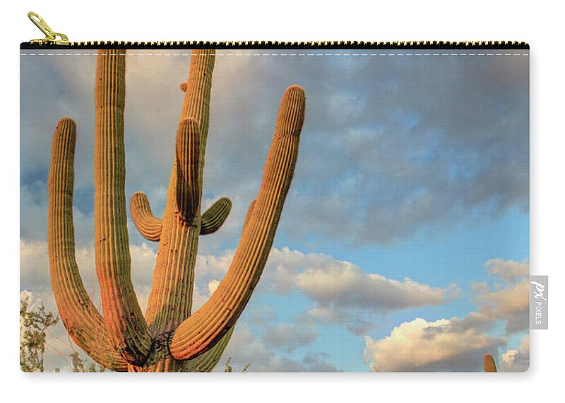 Saguaro Cactus Zip Pouch featuring the photograph Saguaro National Park by Michele Falzone