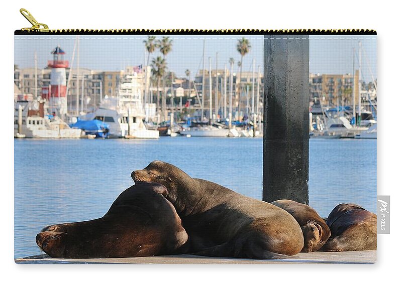 Sea Zip Pouch featuring the photograph Sailing Dreams by Christy Pooschke