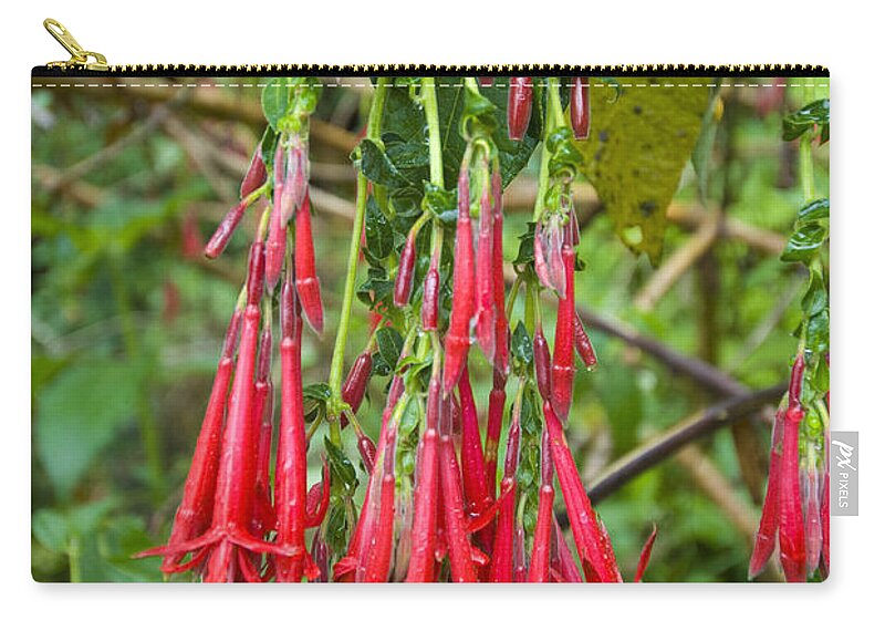 Nature Zip Pouch featuring the photograph Salvia In Peruvian Cloud Forest by William H. Mullins