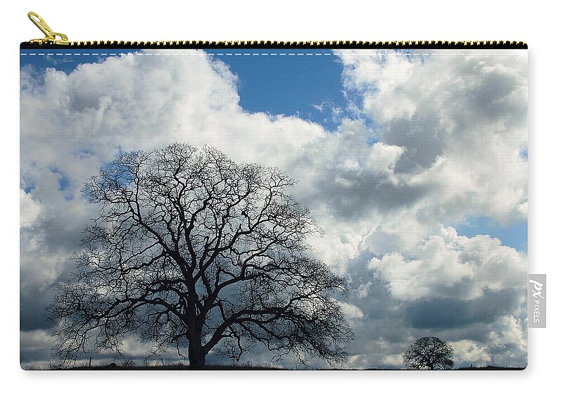 Tree Zip Pouch featuring the photograph Same Tree Many Skies 13 by Robert Woodward