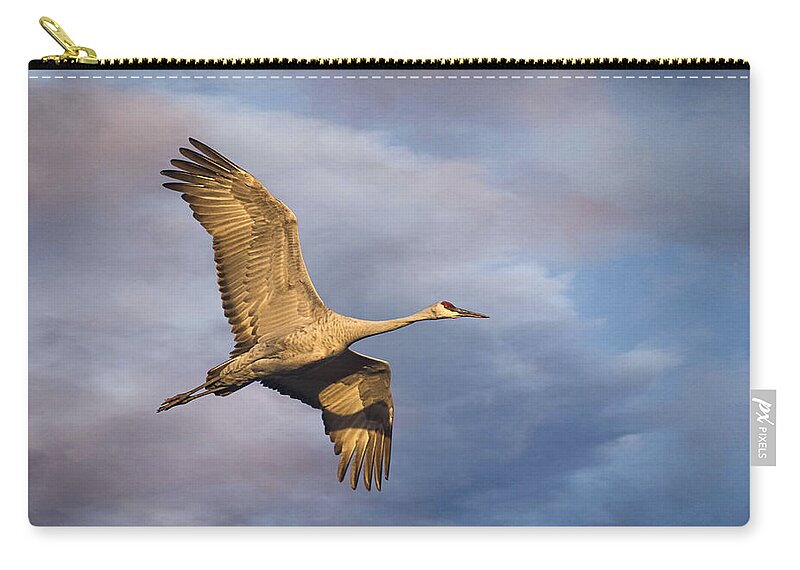 Sandhill Crane Zip Pouch featuring the photograph Sandhill Crane in Flight by Priscilla Burgers