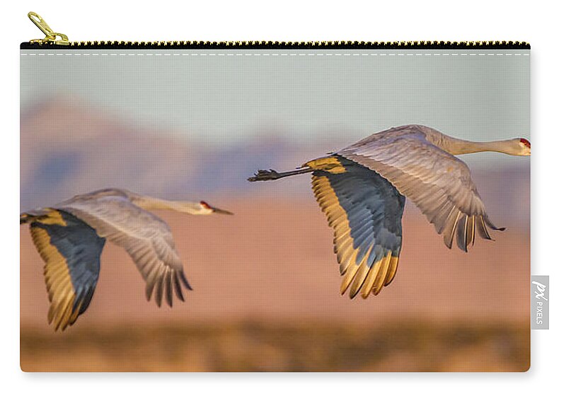 Birds Zip Pouch featuring the photograph Sandhill Crane Pair by Fred J Lord