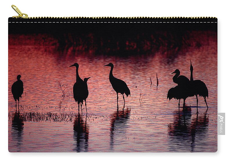 Birds Carry-all Pouch featuring the photograph Sandhill Cranes - Bosque del Apache - New Mexico by Steven Ralser