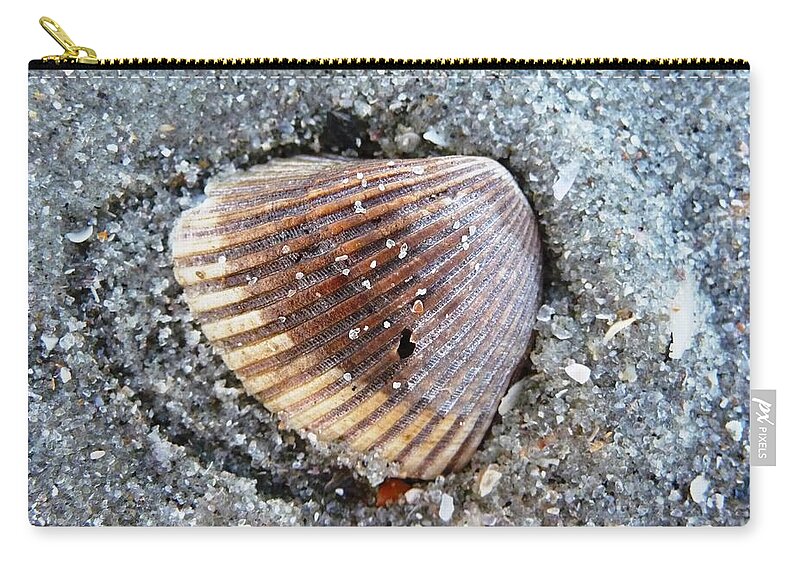 Shell Zip Pouch featuring the photograph Sandy Shell by Lisa Blake