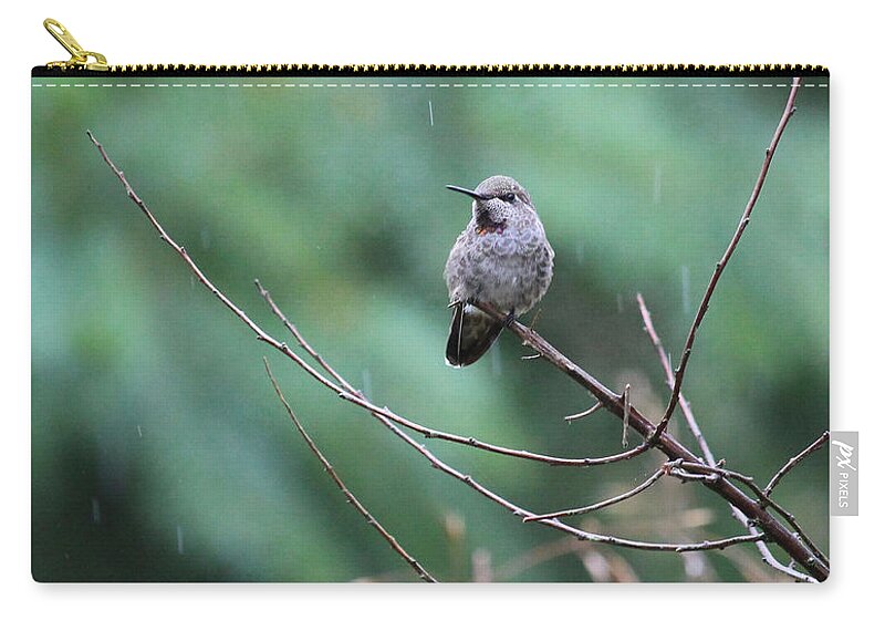 Birds Zip Pouch featuring the photograph Savoring Rain by Rory Siegel